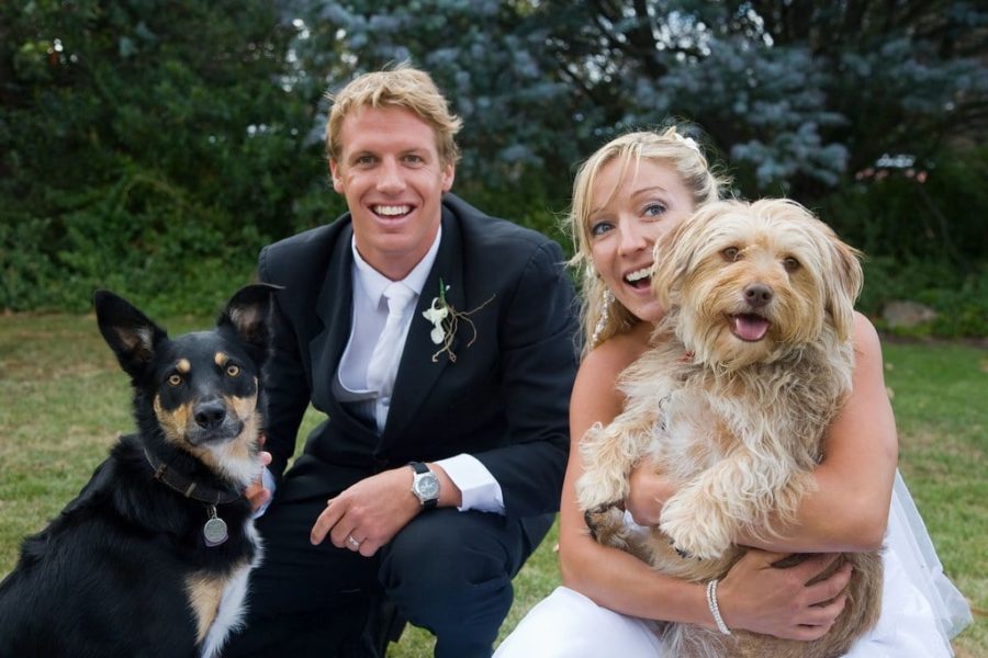 Wedding pics with dogs