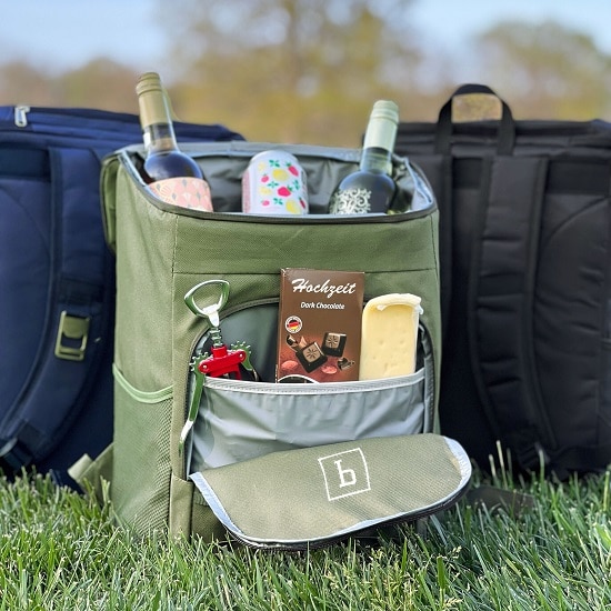 Plan your next picnic with the backpack cooler