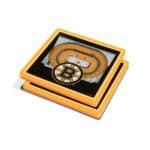 Boston Bruins NHL 3D StadiumView Coasters