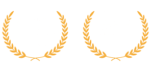 The Knot Wedding Wire Awards